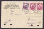 Hungary Deluxe SALGOTARJAN 1930 Card To GENTOFTE Denmark (2 Scans) - Covers & Documents