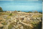 Cyprus, The Temple Of Apollo Hylates, Unused Postcard [P6763] - Cyprus