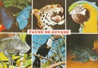 Faune De GUYANE - Superbe Carte Mutivues. - Autres & Non Classés