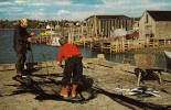 Nova Scotia - Nouvelle-Écosse N.S. - Fishing Village - Village Pêcheurs - Unused - Otros & Sin Clasificación