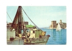 Cp, Bateaux De Pêche, Marseille (13), Chalutiers à L´amarre Dans Le Vieux Port, écrite 1959 - Visvangst