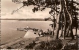 ILE AUX MOINES-LE DEBARCADERE-BATEAU VAPEUR--BOIS D'AMOUR - Ile Aux Moines