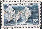 Fédération Du MALI: Poissons :psettus 15fr Bleu Fonçé Et Jaune Orange - Mali (1959-...)
