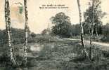 91 - Forêt De Sénart - Mare Du Carrefour Du Cormier  : Achat Immédiat - Sénart