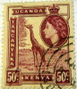 Kenya 1954 Giraffe 50c - Used - Kenya, Ouganda & Tanganyika