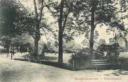 AK Bischofswerda Bischofsplatz 1915 Feldpost #04 - Bischofswerda