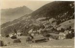 Beatenberg - Waldegg Und Spirenwald Mit Niesen           1926 - Wald