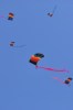 12A -093   @  Parachute,  Parachutting Fallschirm Paracaidismo   ( Postal Stationery, -Articles Postaux -Postsache F - Paracadutismo