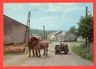 LAICHE Sur SEMOIS - Chevaux Ardennais. (belle Animation) - Andere & Zonder Classificatie