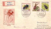 1962.Czecnoslovakia - Insect  - FDC - FDC