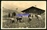 Adelboden -  Chalet International Des Eclaireuses - Animée -  Réf : 19176 - Adelboden