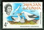 TRISTAN DE CUNHA ALBATROS - Albatrosse & Sturmvögel
