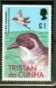 TRISTAN DE CUNHA OISEAUX DE MER PELECANOIDES UNIRATRIX - Albatros