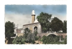 Cp, Algérie, Tiaret, La Mosquée, Voyagée 1954 - Tiaret