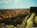 131 CASTELO BRANCO  PORTUGAL     POSTCARD POSTAL - Castelo Branco