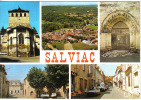 Carte Postale 46. Salviac  Trés Beau Plan - Salviac