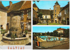 Carte Postale 46. Salviac Fontaine  Piscine Chateau  Trés Beau Plan - Salviac