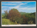 UNITED STATES  1999 BLUE RIDGE PARKWAY  Mailed PPC # 28849 - Briefe U. Dokumente