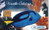 TELECARTE  NOUVELLE-CALEDONIE  25 Unités  Le Poisson  The Fish - Nueva Caledonia