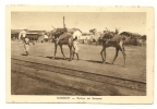 Djibouti (Somalie) : Retour D'une Caravane De La Brousse Env 1930 (animée). - Somalia