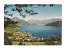 Cp, Suisse, Weggis Und Die Alpen, Voyagée 1969 - Weggis