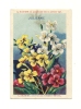 Delcampe - Image, "Verrulyse" - Etablissement Jacquemaire - Julienne De Mahon - Altri & Non Classificati