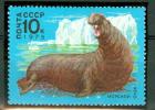 URSS ELEPHANT DE MER - Pinguini