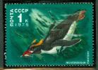 URSS MANCHOT EN PLONGEE - Pinguïns & Vetganzen