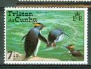 TRISTAN DA CUNHA GORFOU A LA PECHE - Penguins