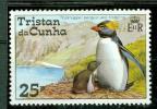 TRISTAN DA CUNHA GORFOU ET SON PETIT - Penguins