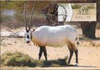 ISRAEL (2011) - Tarjeta Máxima / Maximum Card ATM - Oryx Leucoryx, Arabian Oryx, White Oryx, Orice De Arabia - Cartes-maximum