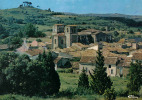 Carte Postale 34. Aniane  Le Village Trés Beau Plan - Aniane