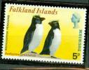 FALKLAND GORFOUS SAUTEURS - Pinguine