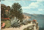 Switzerland, Suisse, Brissago, Lago Maggiore, 1958 Used Postcard [P6879] - Brissago