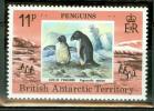 BRITISH ANTARCTIQUE MANCHOTS ADELIE - Pinguïns & Vetganzen