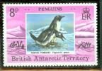 BRITISH ANTARCTIQUE MANCHOTS GENTOO - Pinguïns & Vetganzen