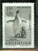 ARGENTINE PINGOUINS - Pinguini