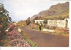 ISLASCANARIAS CARRETERA WAYSIDE FLOWERS (FEMME AVEC PANIER SUR LA TETE) COLORISEE REF 23005 - Fuerteventura