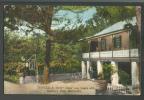 BERMUDA , SWIZZLE INN, BAILEYS BAY,  OLD POSTCARD USED HAMILTON - Bermuda