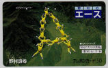 346 Japan - Sport - Sky-diving 110-24402 - Avions