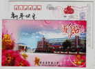 Insect Honey Bee,honeybee,flower,China 2009 Jinyun Ziwei Primary School Lunar New Year Of Ox Greeting Pre-stamped Card - Api