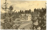 Heiligenschwendi - Pension Waldegg Haltenegg Ob Thun           1912 - Wald