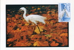 FRANCE Carte Maximum Yvert N° 1820  AIGRETTE GARZETTE Oblitérée 1er Jour  15-2-75 - Flamants