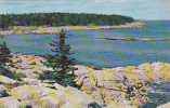Griffith Head At Reid State Park, Georgetown, Maine - Sonstige & Ohne Zuordnung