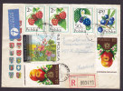 Poland Airmail Par Avion Registered Recommandée Einschreiben UPT SZCZECIN 1977 Cover Netherlands Berries (2 Scans) - Flugzeuge