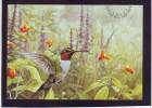 POSTAL STATIONARY, CANADA ** - Hummingbirds