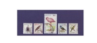 G196. Lesser Flamingo / Birds / Aves / Oiseaux / Kenya / Spreo Superbus - Verzamelingen, Voorwerpen & Reeksen