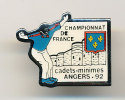 CHAMPIONNAT DE FRANCE CADETS MINIMES ANGERS 92 - Boule/Pétanque
