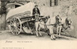 FIRENZE FLORENCE (Italie) Attelage Transport De Vin Gros Plan - Firenze (Florence)