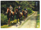 Hippisme / Cheval: Promenade Equestre , Vers CHAUMONT, Haute-Marne; 1977; B/TB - Hippisme